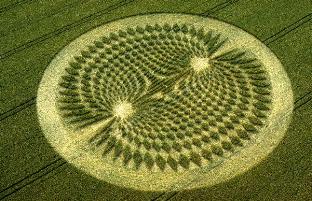 crop circle