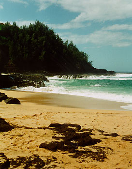 Kauai Beach