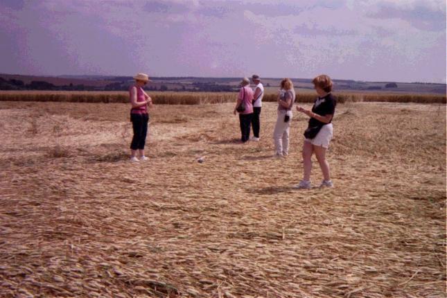 crop circle